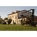 Imagen de: Peral de Arlanza 6
